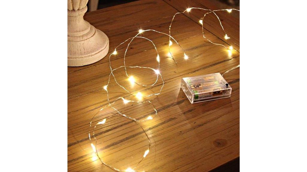 battery operated warm white fairy lights