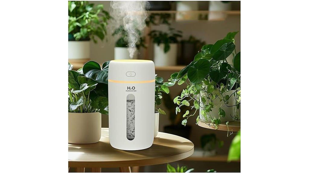 compact humidifier with light