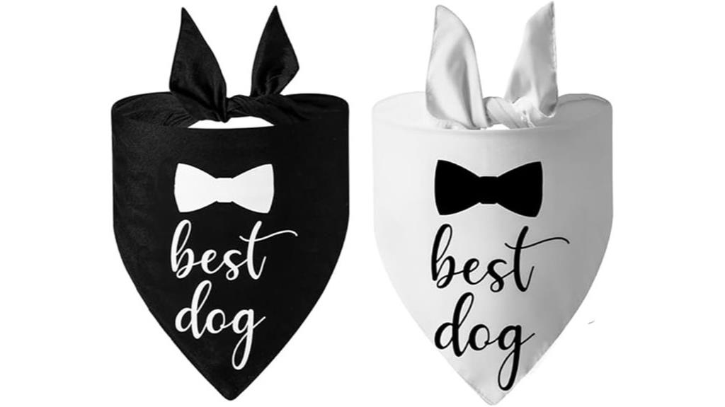 dog bandanas for events