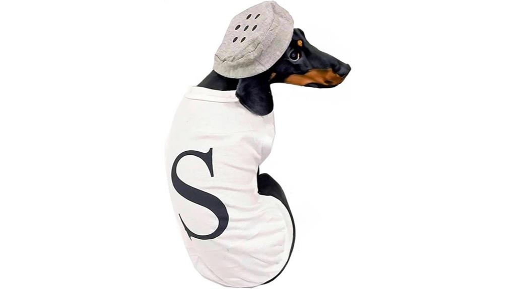 dog halloween costume