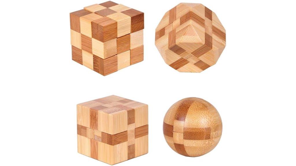 wooden 3d brain teaser set
