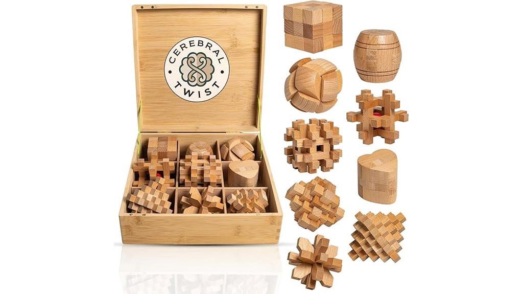 wooden adult brain teasers