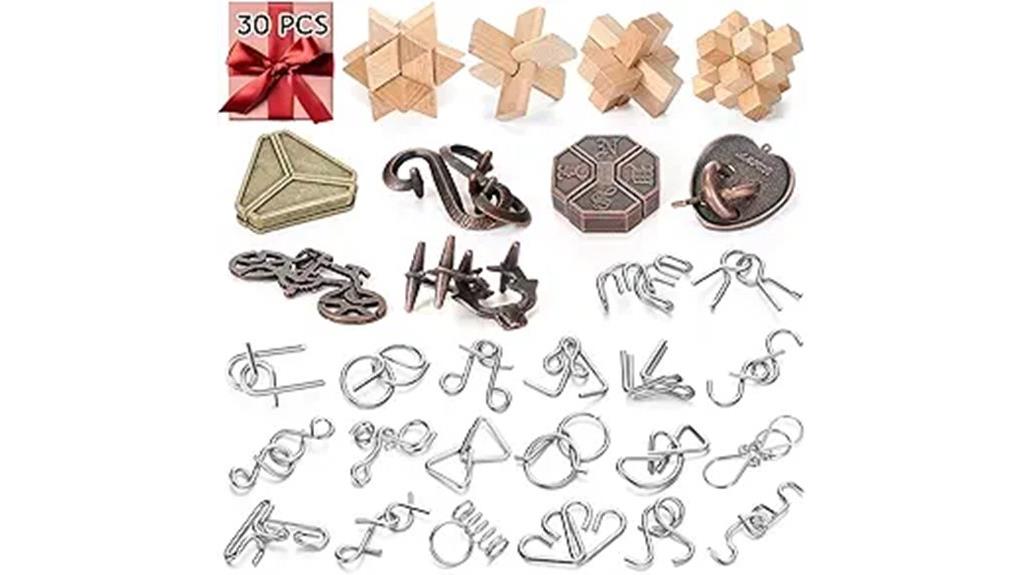 wooden metal interlocking puzzles