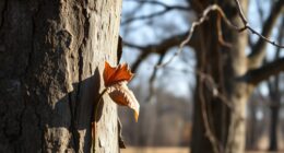 identifying problems early