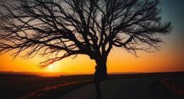 timing for ex reconciliation