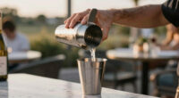 13 Best Cocktail Shaker Sets for Couples in 2026