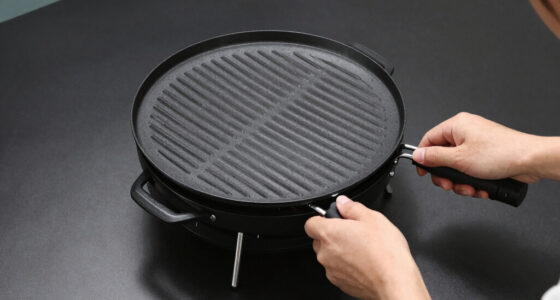 5 Best Portable Grills for Couples Camping in 2026