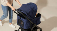 6 Best Pet Strollers For Couples In 2026