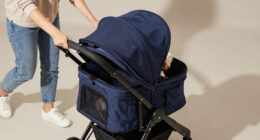 6 Best Pet Strollers For Couples In 2026