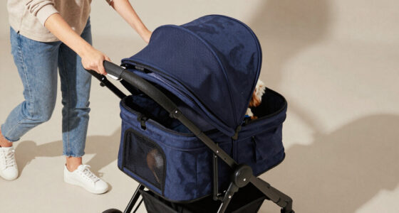 6 Best Pet Strollers For Couples In 2026