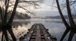 restoring trust needs effort