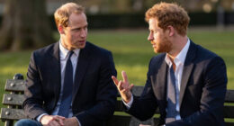 Royal Brothers William Harry Feud