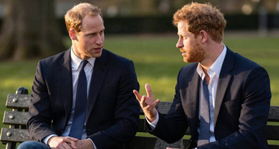 Royal Brothers William Harry Feud